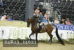 24R13_14624 thumbnail