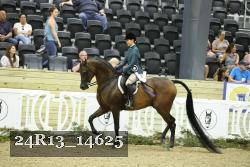 24R13_14625 thumbnail