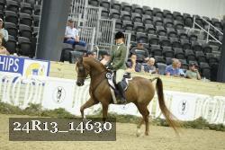 24R13_14630 thumbnail