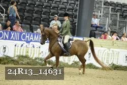 24R13_14631 thumbnail