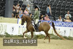 24R13_14632 thumbnail