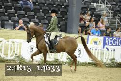 24R13_14633 thumbnail