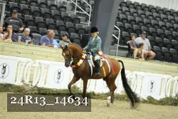 24R13_14634 thumbnail