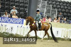 24R13_14635 thumbnail