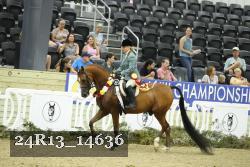 24R13_14636 thumbnail