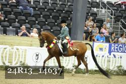 24R13_14637 thumbnail