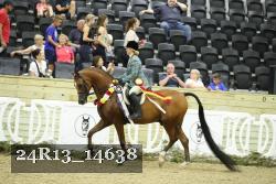 24R13_14638 thumbnail