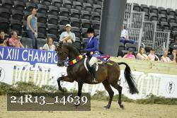 24R13_14639 thumbnail