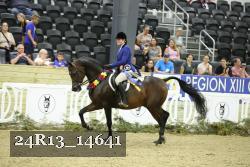 24R13_14641 thumbnail