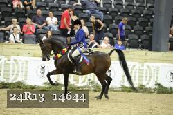 24R13_14644 thumbnail