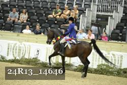 24R13_14646 thumbnail