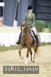 24R13_14649 thumbnail