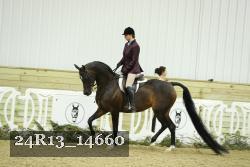 24R13_14660 thumbnail