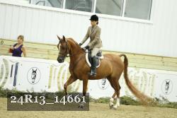 24R13_14661 thumbnail