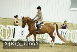 24R13_14662 thumbnail