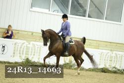 24R13_14663 thumbnail
