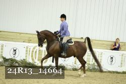 24R13_14664 thumbnail