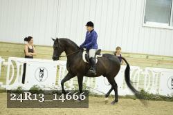 24R13_14666 thumbnail