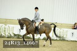 24R13_14667 thumbnail