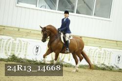 24R13_14668 thumbnail