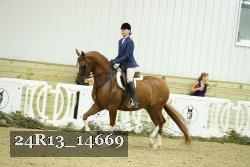 24R13_14669 thumbnail
