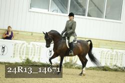 24R13_14671 thumbnail