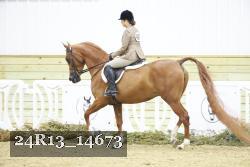 24R13_14673 thumbnail