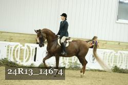 24R13_14674 thumbnail