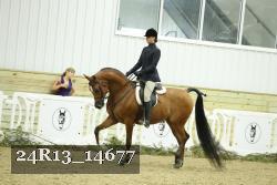 24R13_14677 thumbnail