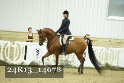 24R13_14678 thumbnail