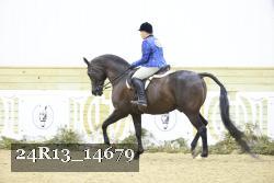 24R13_14679 thumbnail