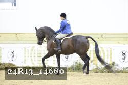 24R13_14680 thumbnail