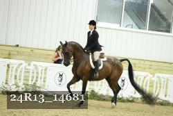 24R13_14681 thumbnail