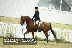 24R13_14683 thumbnail