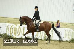 24R13_14684 thumbnail