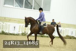 24R13_14685 thumbnail