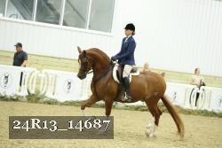 24R13_14687 thumbnail