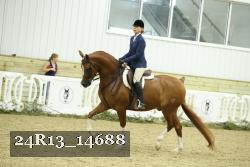 24R13_14688 thumbnail