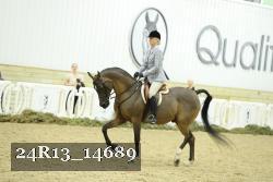 24R13_14689 thumbnail