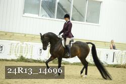 24R13_14696 thumbnail