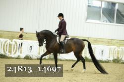 24R13_14697 thumbnail
