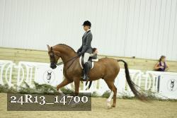 24R13_14700 thumbnail