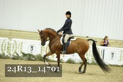 24R13_14701 thumbnail