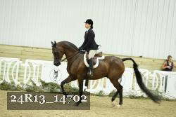 24R13_14702 thumbnail