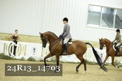 24R13_14703 thumbnail