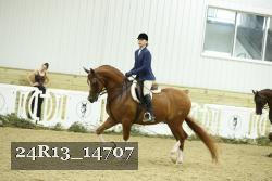 24R13_14707 thumbnail