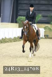 24R13_14708 thumbnail