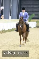 24R13_14711 thumbnail