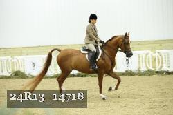 24R13_14718 thumbnail