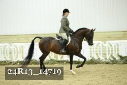24R13_14719 thumbnail